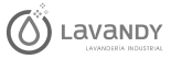 Logo Lavandy